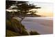 Carmel, California, cypress tree and waves at sunset on ocean, Pebble Beach-Bill Bachmann-Premier Image Canvas