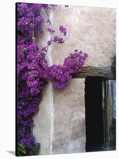 Carmel Mission, Carmel, California, USA-null-Premier Image Canvas