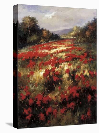 Carmine Meadow-Leila-Stretched Canvas