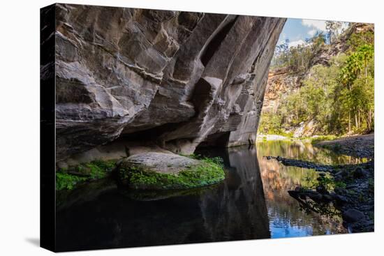 Carnarvon Gorge National Park, Queensland, Australia-Mark A Johnson-Premier Image Canvas