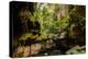 Carnarvon Gorge National Park, Queensland, Australia-Mark A Johnson-Premier Image Canvas