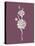 Carnation Purple Flower-Jasmine Woods-Stretched Canvas