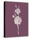 Carnation Purple Flower-Jasmine Woods-Stretched Canvas