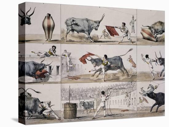 Carnival Bullfight-null-Premier Image Canvas