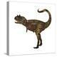 Carnotaurus Dinosaur-Stocktrek Images-Stretched Canvas