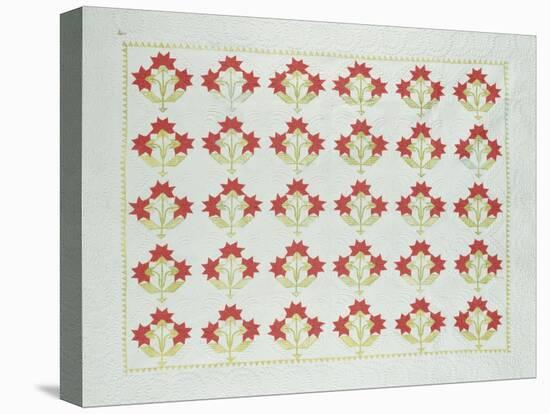 Carolina Lily Coverlet, Maryland, Appliqued and Trapunto Quilted, Circa 1850-null-Premier Image Canvas