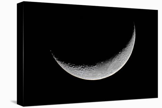 Carolina Moon-Edd Lange-Premier Image Canvas