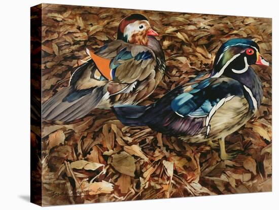 Carolonia Ducks, 1991-Sandra Lawrence-Premier Image Canvas