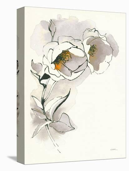 Carols Roses II Taupe-Shirley Novak-Stretched Canvas