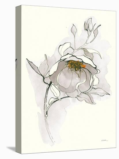 Carols Roses V Off White-Shirley Novak-Stretched Canvas