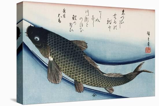 Carp', from the Series 'Collection of Fish'-Ando Hiroshige-Premier Image Canvas