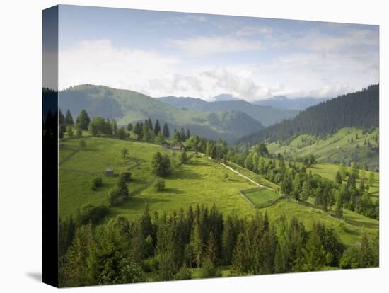 Carpathian Mountains North of Campulung Moldovenesc, Moldavia, Southern Bucovina, Romania, Europe-Gary Cook-Premier Image Canvas