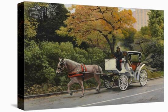 Carriage at Central Park-John Zaccheo-Premier Image Canvas