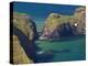 Carrick-A-Rede Rope Bridge to Carrick Island, Larrybane Bay, County Antrim, Ulster-Neale Clarke-Premier Image Canvas