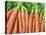 Carrots for Sale at Sunday Morning Market, Pollenca, Tramuntana, Mallorca, Balearic Islands, Spain-Andrew Stewart-Premier Image Canvas