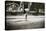 Carrying Wood Home-Lewis Wickes Hine-Stretched Canvas