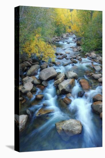 Carson River, Early Autumn Flow, Sierra Nevada-Vincent James-Premier Image Canvas