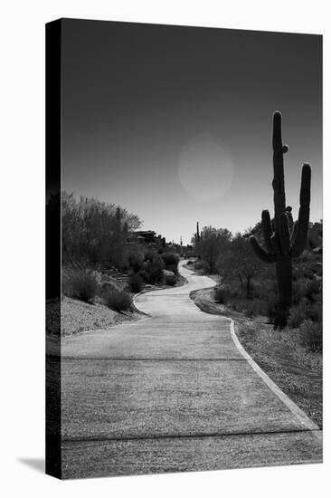 Cart Path on Desert Golf Course Arizona-null-Stretched Canvas