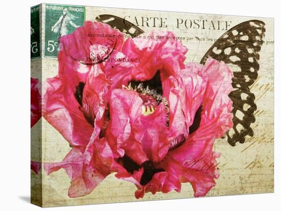 Carte Postale Poppy-Amy Melious-Stretched Canvas