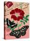 "Carte Postale" Red Butterfly Botanical Collage-Piddix-Stretched Canvas