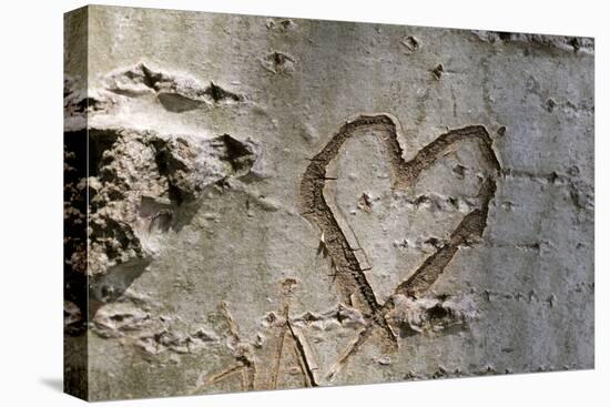 Carved Heart in Bark of a Tree-Brigitte Protzel-Premier Image Canvas