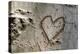 Carved Heart in Bark of a Tree-Brigitte Protzel-Premier Image Canvas