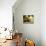 Casa Lleo Morera, Barcelona, Spain-null-Premier Image Canvas displayed on a wall