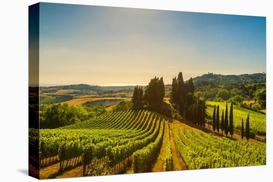 Casale Marittimo Village, Vineyards and Countryside Landscape in Maremma. Pisa Tuscany, Italy Europ-stevanzz-Premier Image Canvas