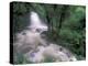 Cascade and Cloud Rainforest, Machu Picchu, Peru-Andres Morya-Premier Image Canvas