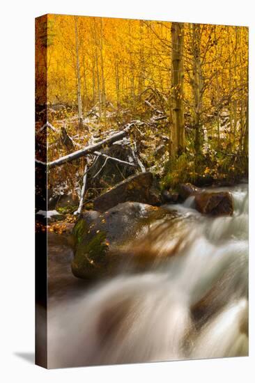 Cascade of Change-Mark Geistweite-Premier Image Canvas