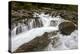 Cascades on Deception Creek, Mount Baker-Snoqualmie National Forest, Washington, U.S.A.-James Hager-Premier Image Canvas