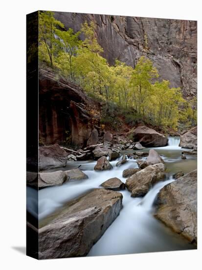 Cascades on the Virgin River in the Fall, Zion National Park, Utah, USA-null-Premier Image Canvas