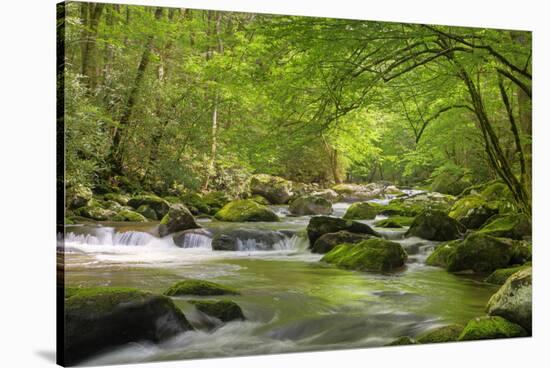 Cascading Creek, Great Smoky Mountains National Park, Tennessee, USA-null-Premier Image Canvas