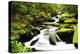 Cascading Creek in the Park, Great Smoky Mountains National Park, Tennessee, USA-null-Premier Image Canvas