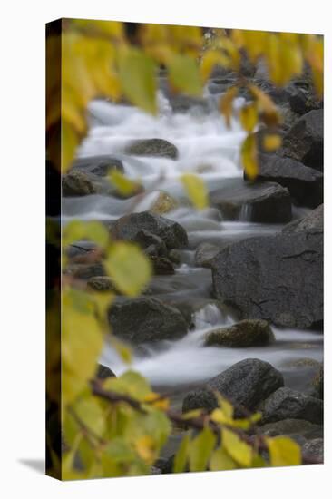 Cascading River Through Autumnal Foliage, Sarek Np, Laponia World Heritage Site, Lapland, Sweden-Cairns-Premier Image Canvas