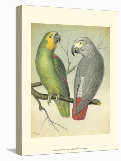 Cassell's Parrots II-Cassell-Stretched Canvas