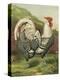 Cassell's Roosters III-Cassel-Stretched Canvas