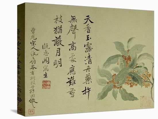 Cassia-Yun Shouping-Premier Image Canvas