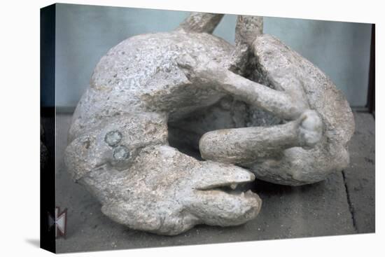 Cast of a chained dog from Pompeii, 1st century-Unknown-Premier Image Canvas