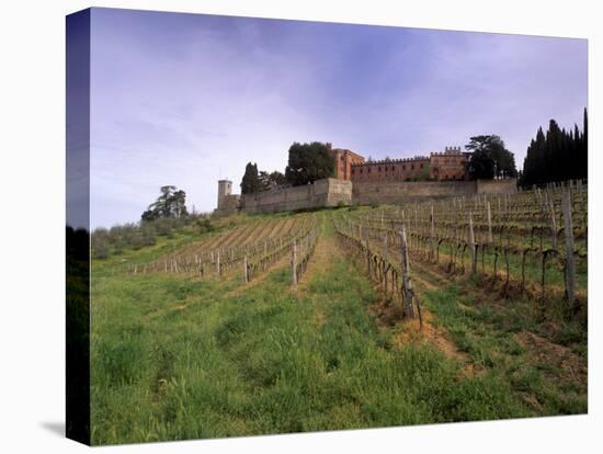 Castello Di Brolio and Famous Vineyards, Brolio, Chianti, Tuscany, Italy, Europe-Patrick Dieudonne-Premier Image Canvas