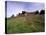 Castello Di Brolio and Famous Vineyards, Brolio, Chianti, Tuscany, Italy, Europe-Patrick Dieudonne-Premier Image Canvas