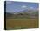 Castelluccio Di Norcia, Norcia, Umbria, Italy, Europe-Angelo Cavalli-Premier Image Canvas