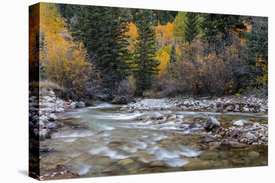 Castle Creek in Autumn in the White River National Forest Near Aspen, Colorado, Usa-Chuck Haney-Premier Image Canvas