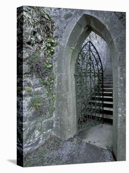 Castle Doorway, County Mayo, Ireland-William Sutton-Premier Image Canvas