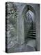 Castle Doorway, County Mayo, Ireland-William Sutton-Premier Image Canvas