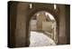 Castle Gate to the Albrechtsburg in Mei§en, View at the Houses at the Freiheit-Uwe Steffens-Premier Image Canvas