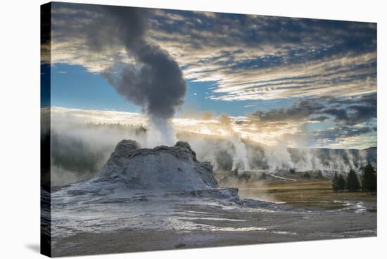 Castle Geyser And Upper Geyser Basin At Sunrise, Yellowstone National Park-Bryan Jolley-Stretched Canvas