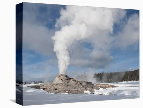 Castle Geyser Erupting in Winter Landscape, Yellowstone National Park, UNESCO World Heritage Site, -Kimberly Walker-Premier Image Canvas