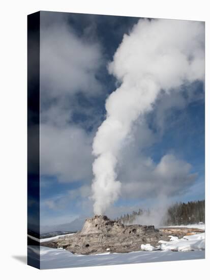 Castle Geyser Erupting in Winter Landscape, Yellowstone National Park, UNESCO World Heritage Site, -Kimberly Walker-Premier Image Canvas