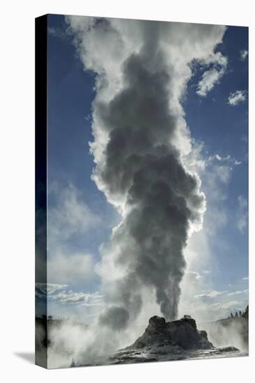 Castle Geyser Erupting, Upper Geyser Basin, Yellowstone National Park, Wyoming-Adam Jones-Premier Image Canvas